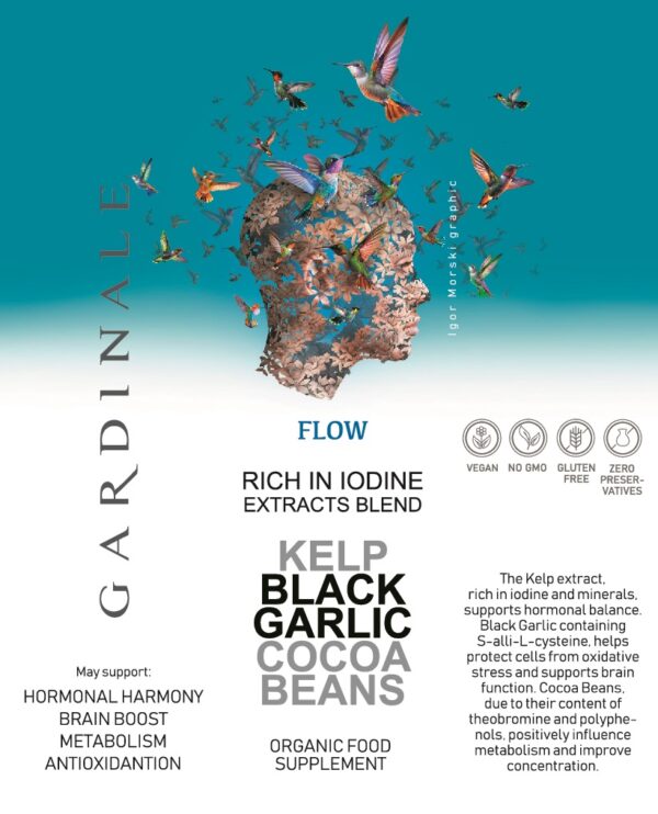 FLOW - Image 2