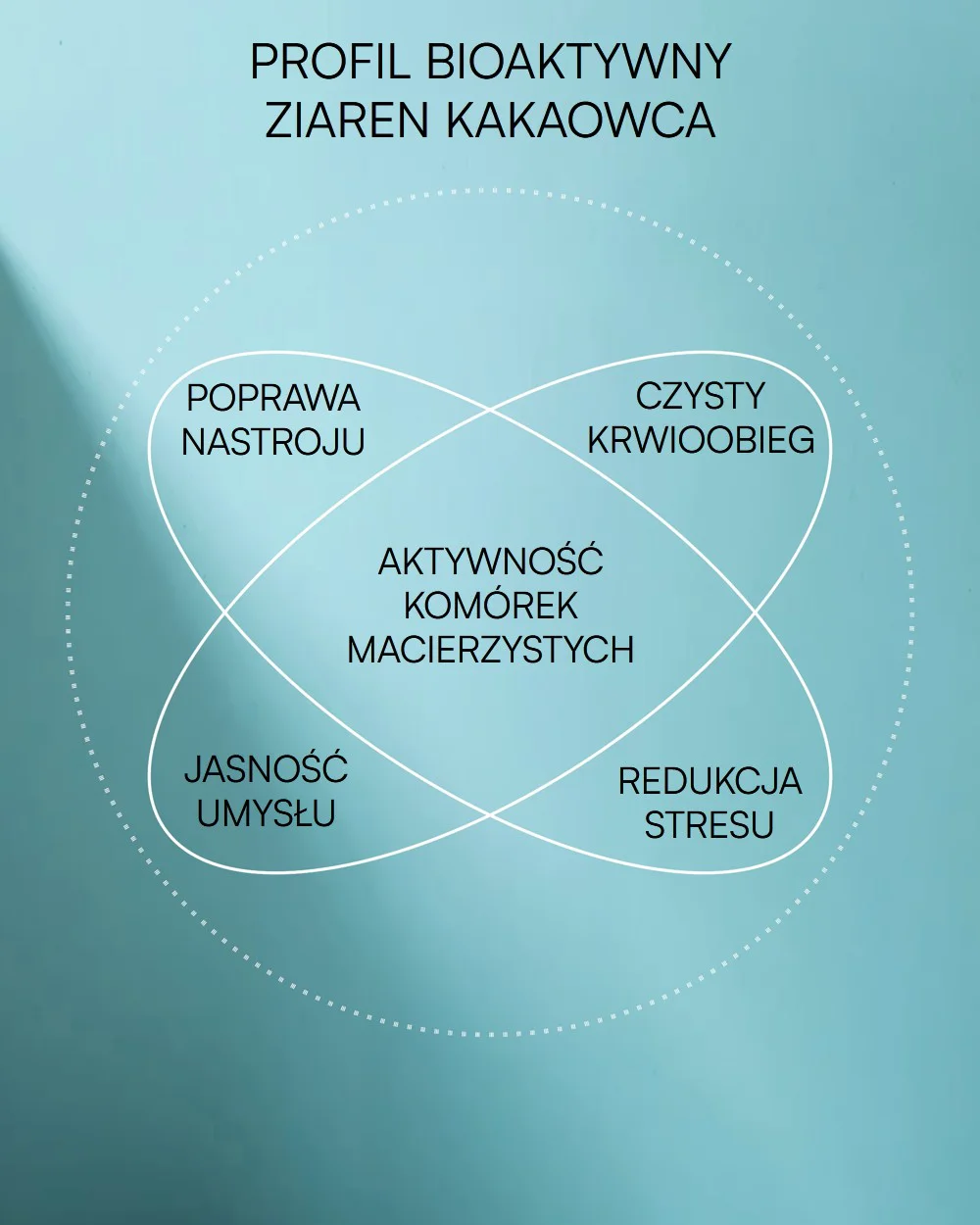 ZIARNA KAKAOWCA