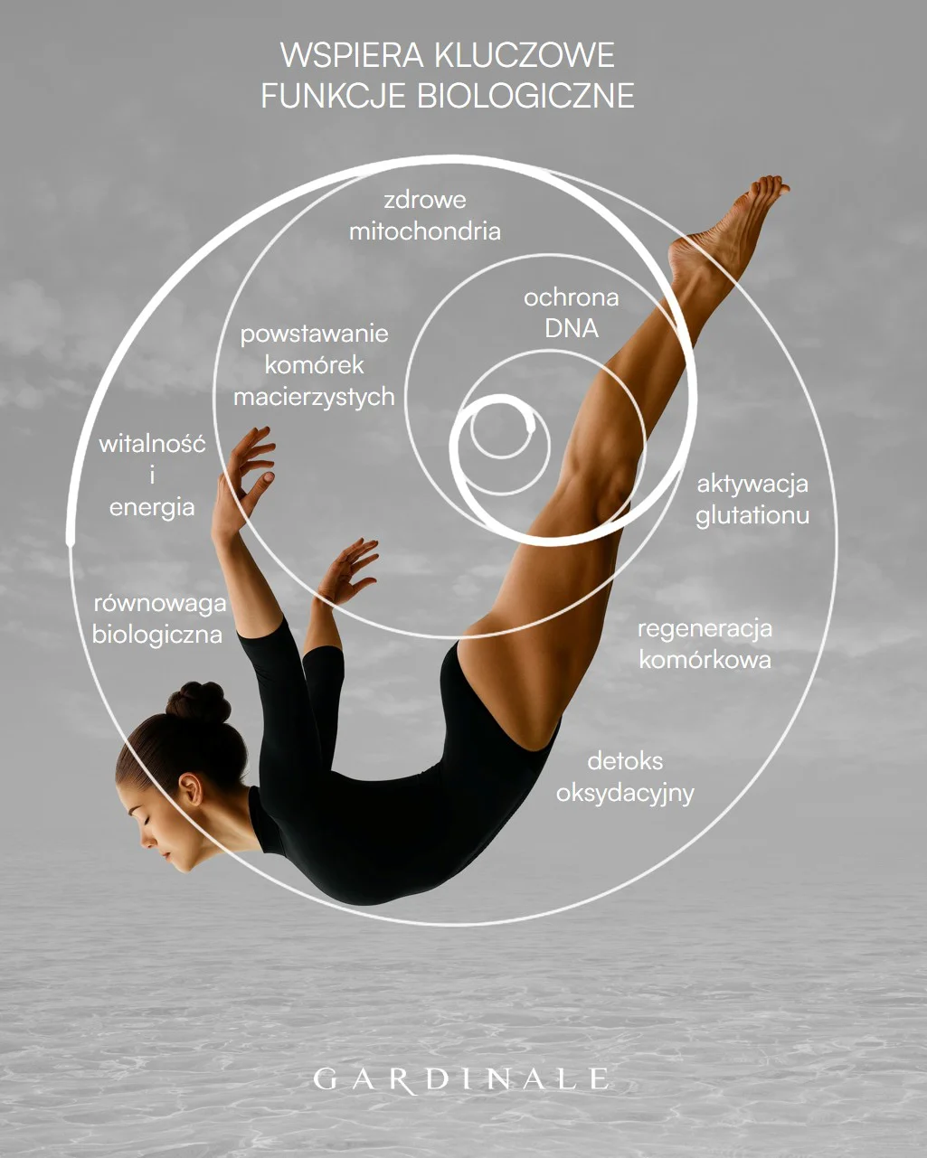 LONGEVITY / ANTI-AGING