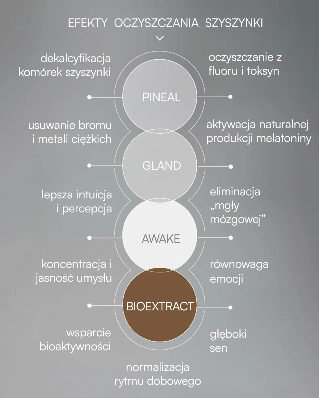 PINEAL GLAND AWAKE