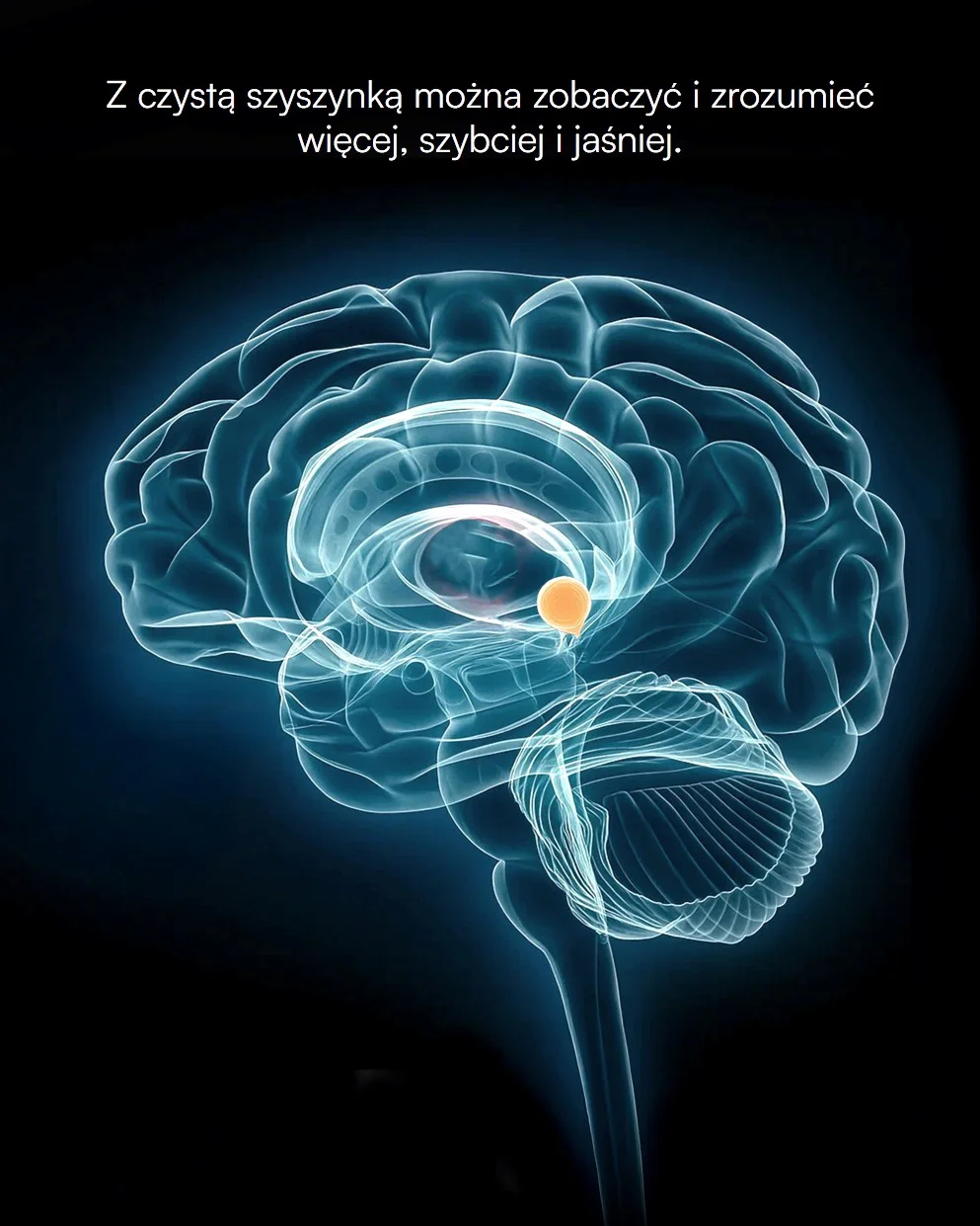 Działanie na mózg PINEAL GLAND AWAKE