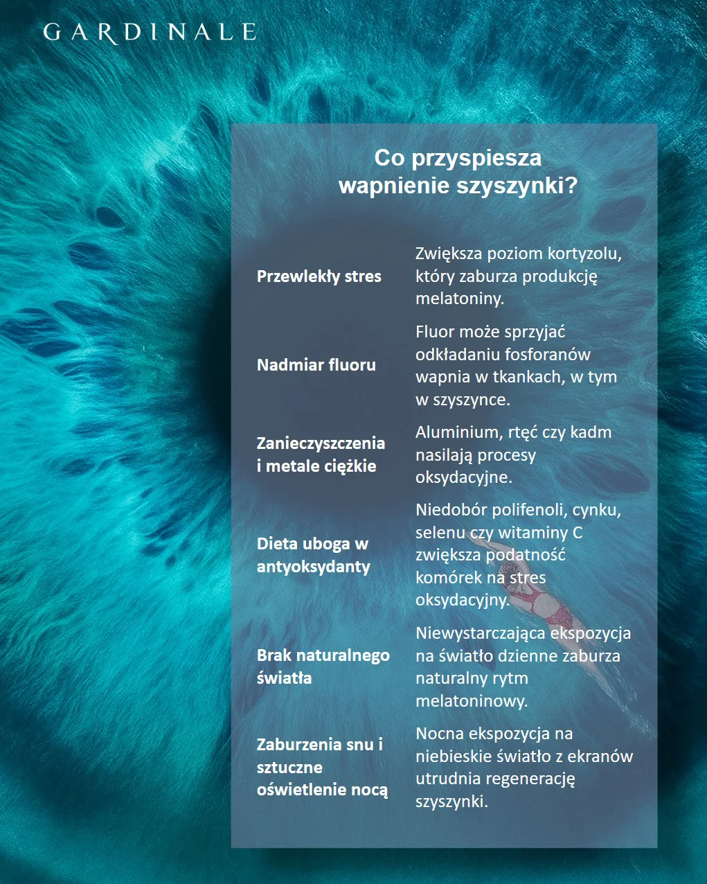 Co przyśpiesza wapnienie szyszynki?
